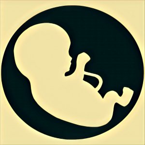 Traumdeutung schwanger