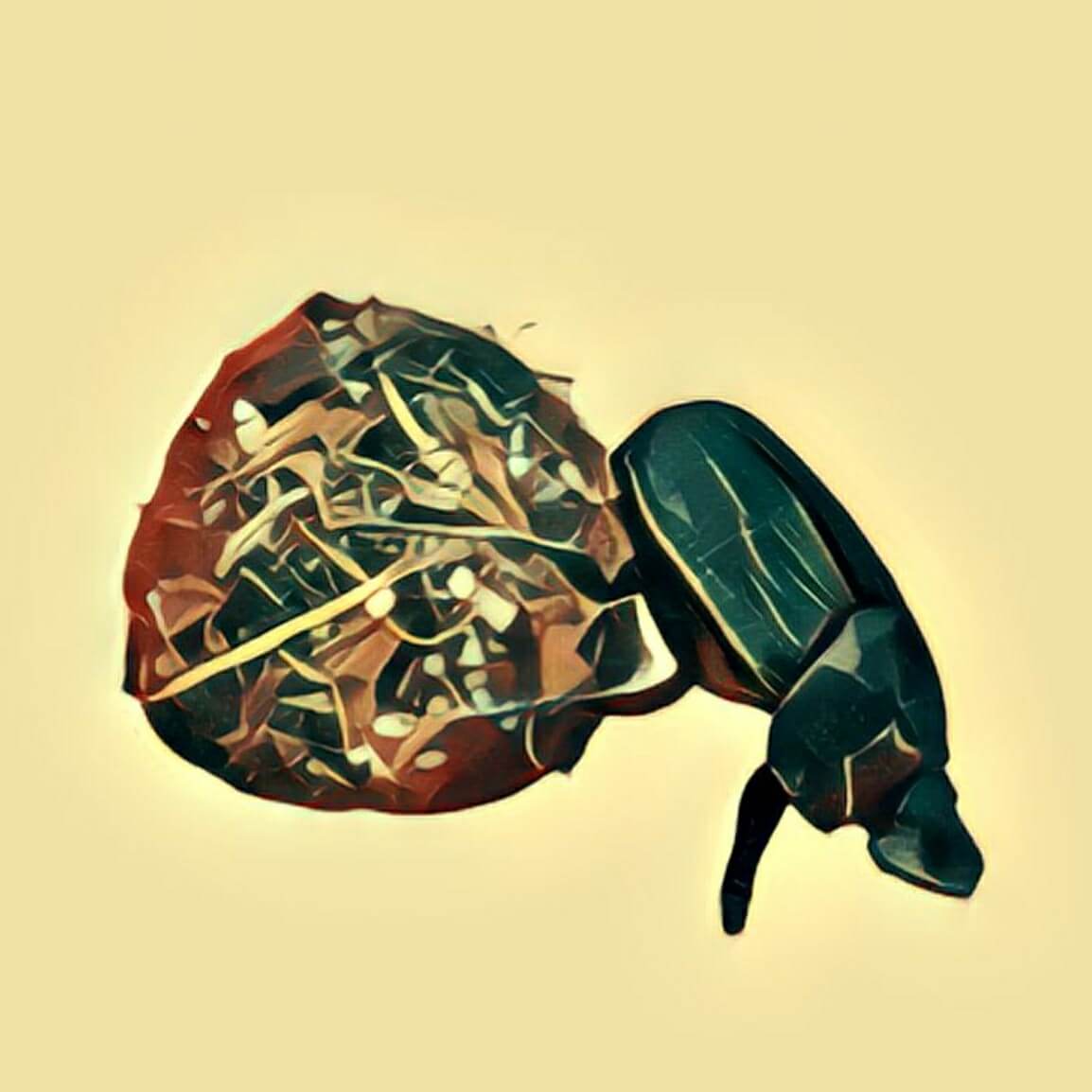 Kot im Traum. Was hat das zu bedeutet? Traumdeutung das Original