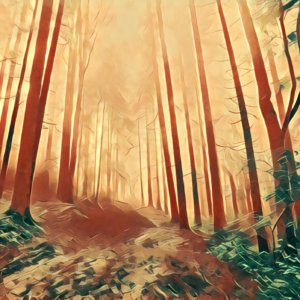 Traumdeutung Wald