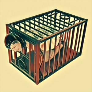 Traumdeutung Käfig
