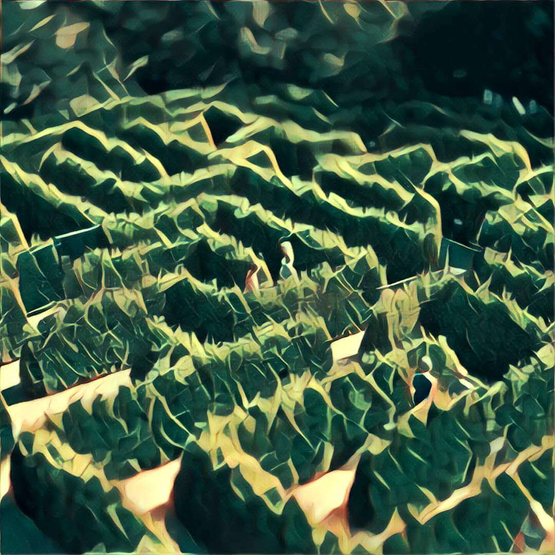 Irrgarten TraumDeutung