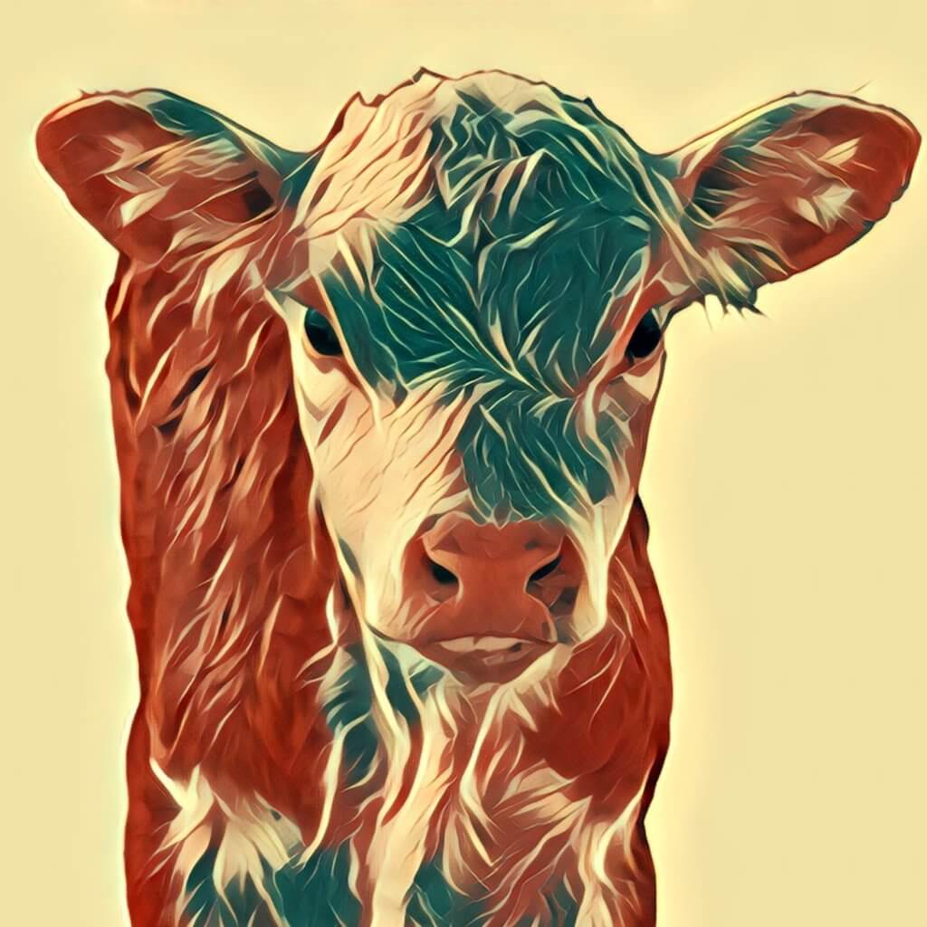 Kalb Traum Deutung