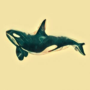 Traumdeutung Orca