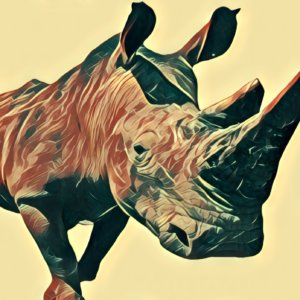 Traumdeutung Rhinozeros