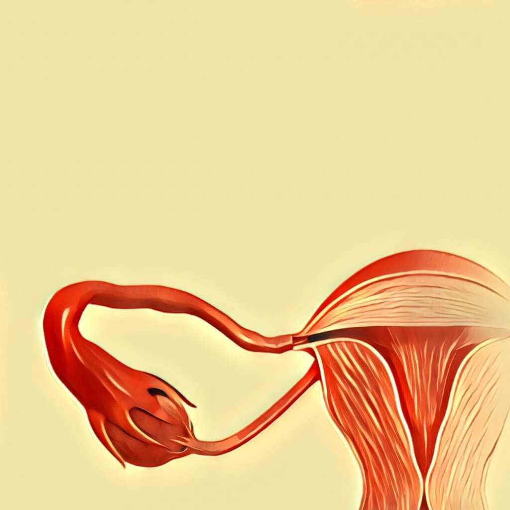 Unterer Bauch Steht Hervor Frau Uterus
