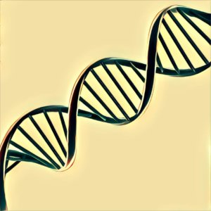 Traumdeutung DNA
