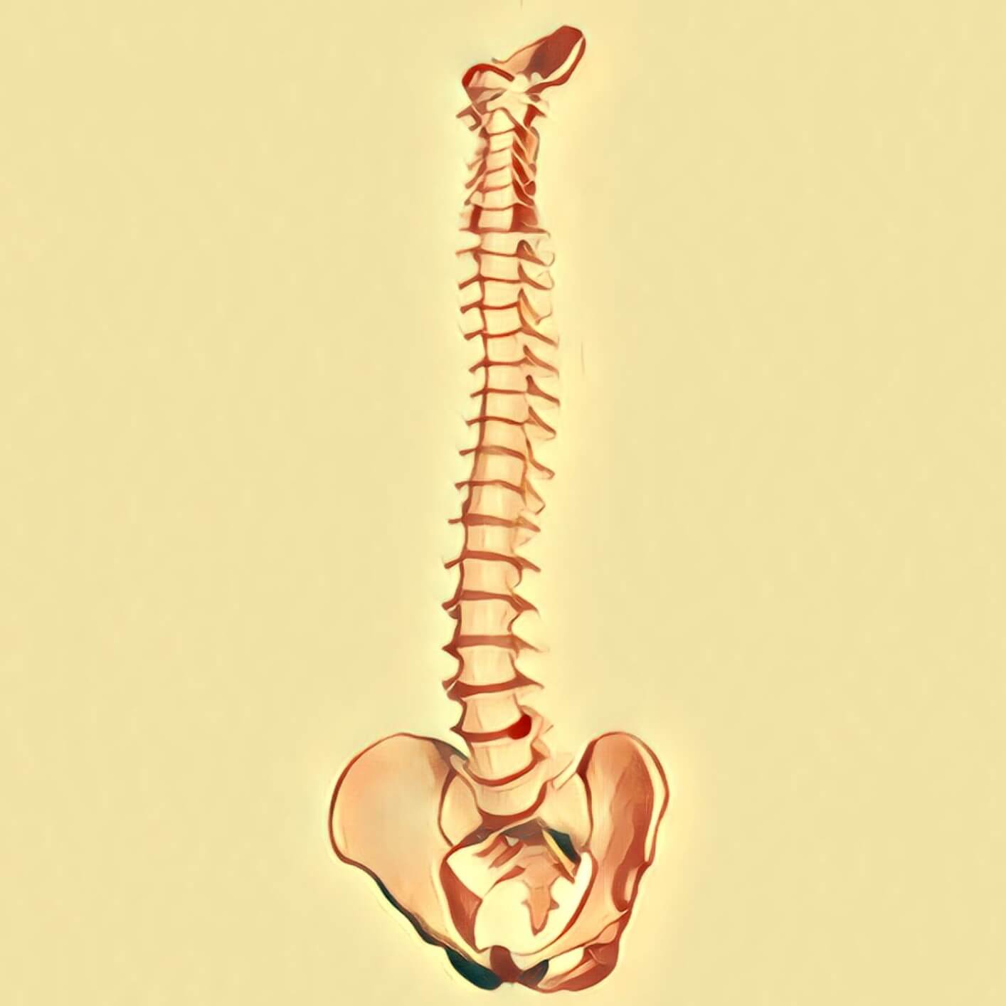 Wirbelsäule TraumDeutung