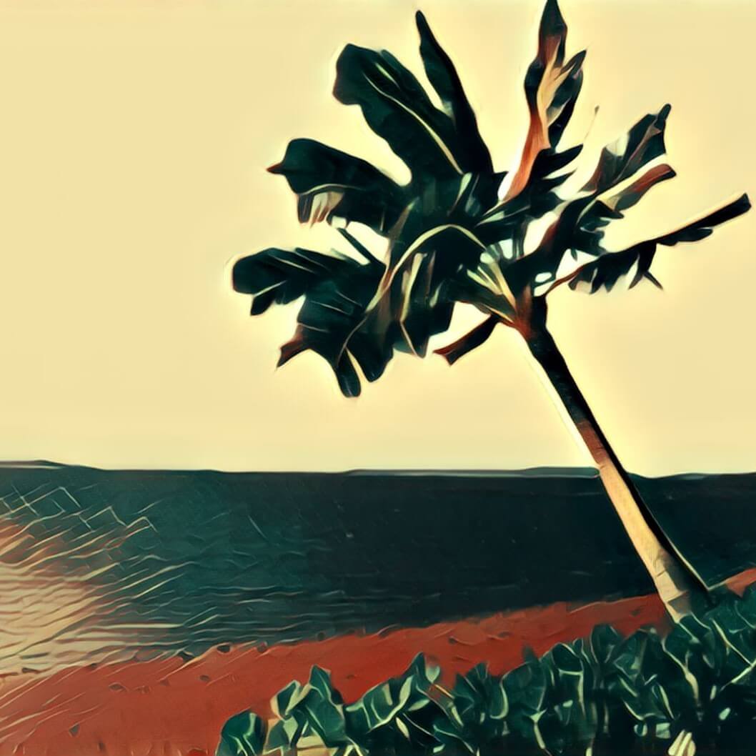 Paradies TraumDeutung