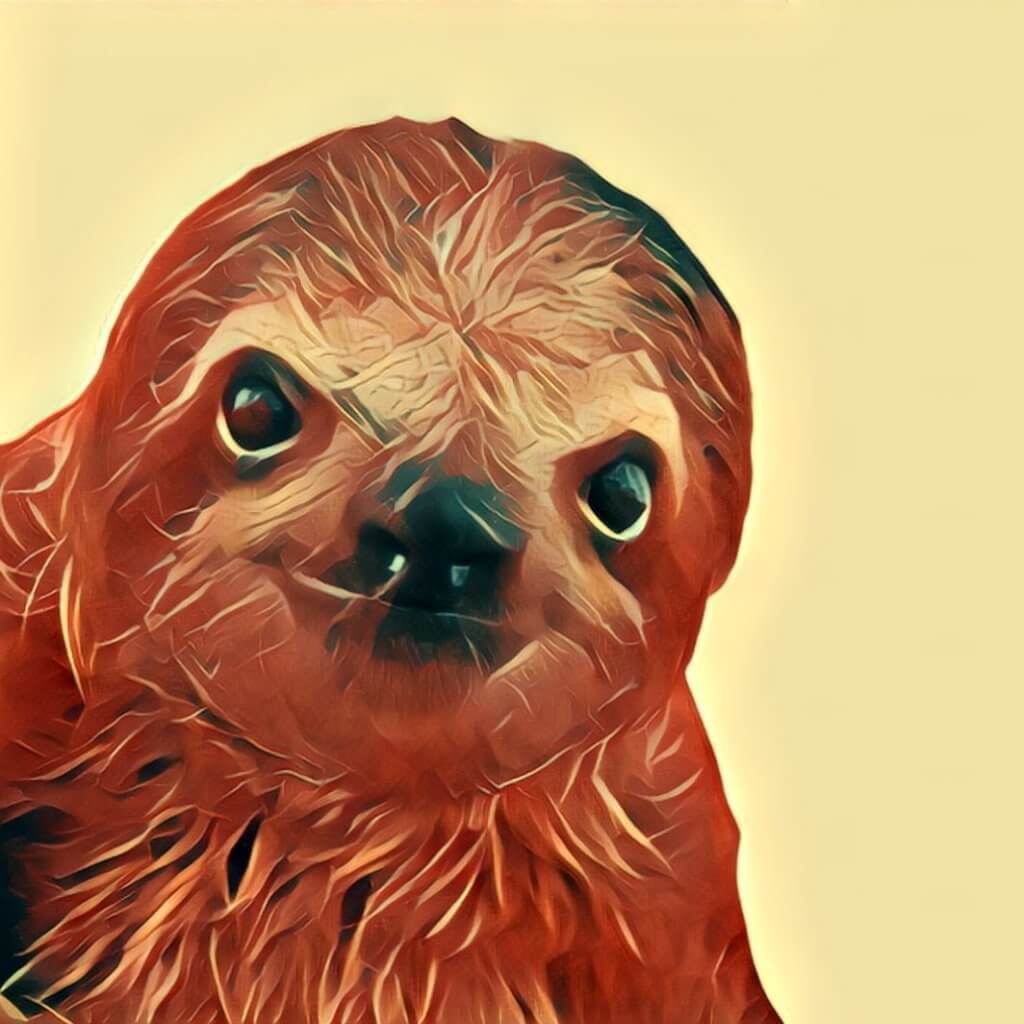 Faultier 🦥 | Was bedeutet ein Faultier im Traum? - Traum-Deutung