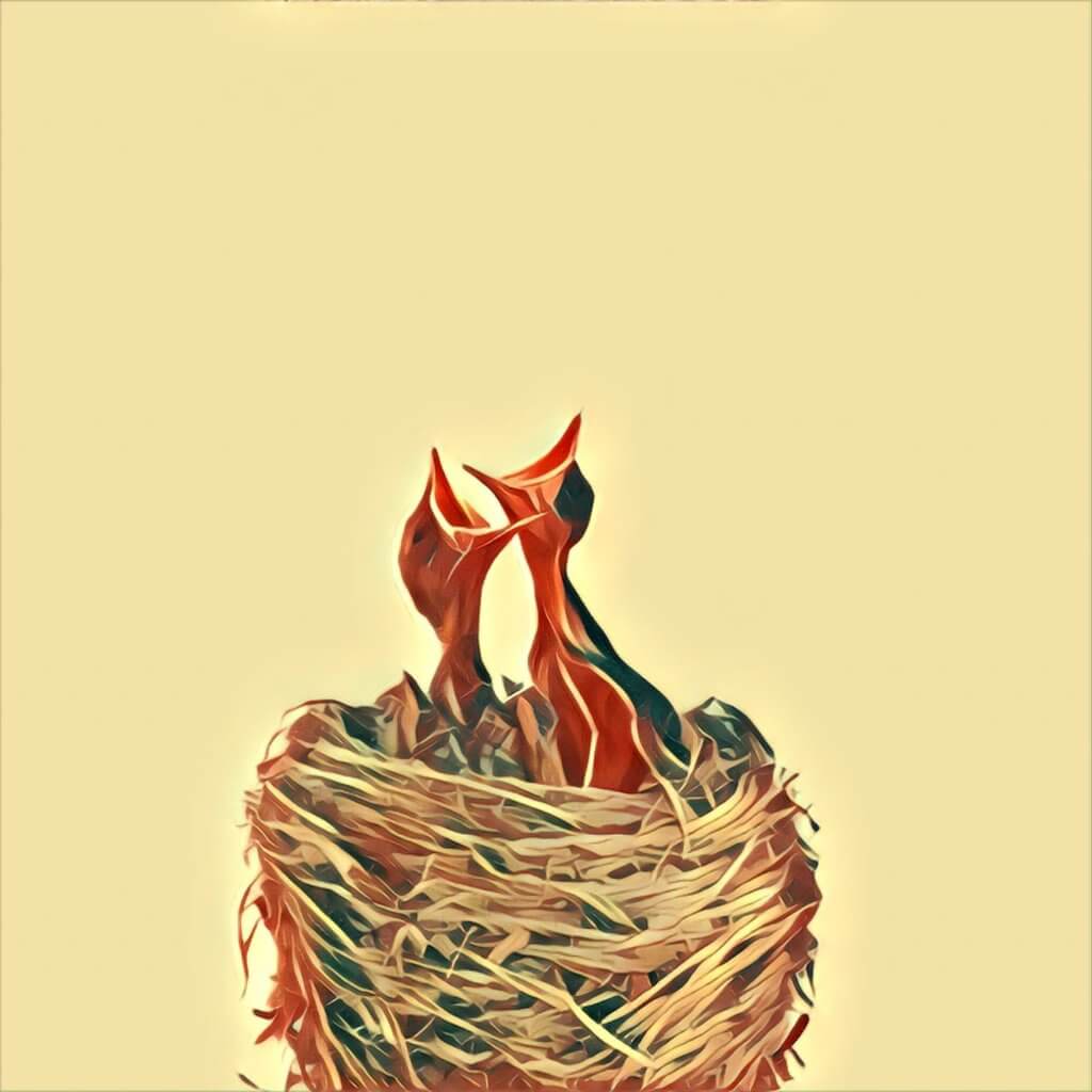 Vogelnest TraumDeutung