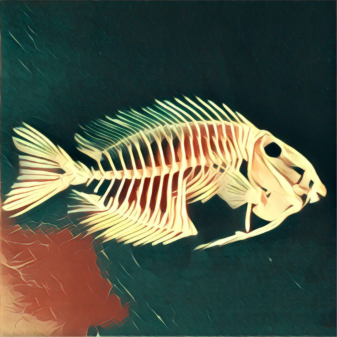 Fischgräten TraumDeutung