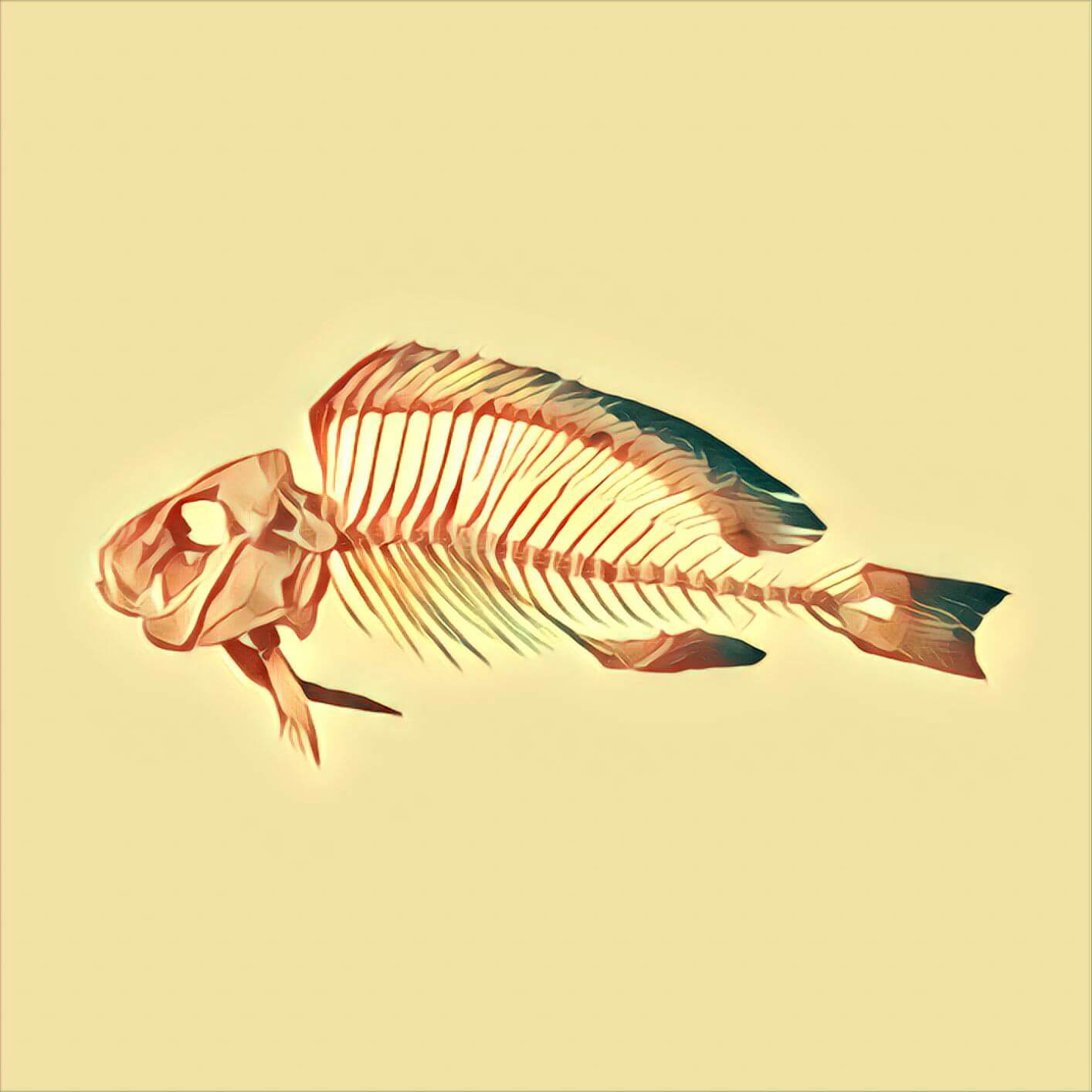 Fischgräten TraumDeutung