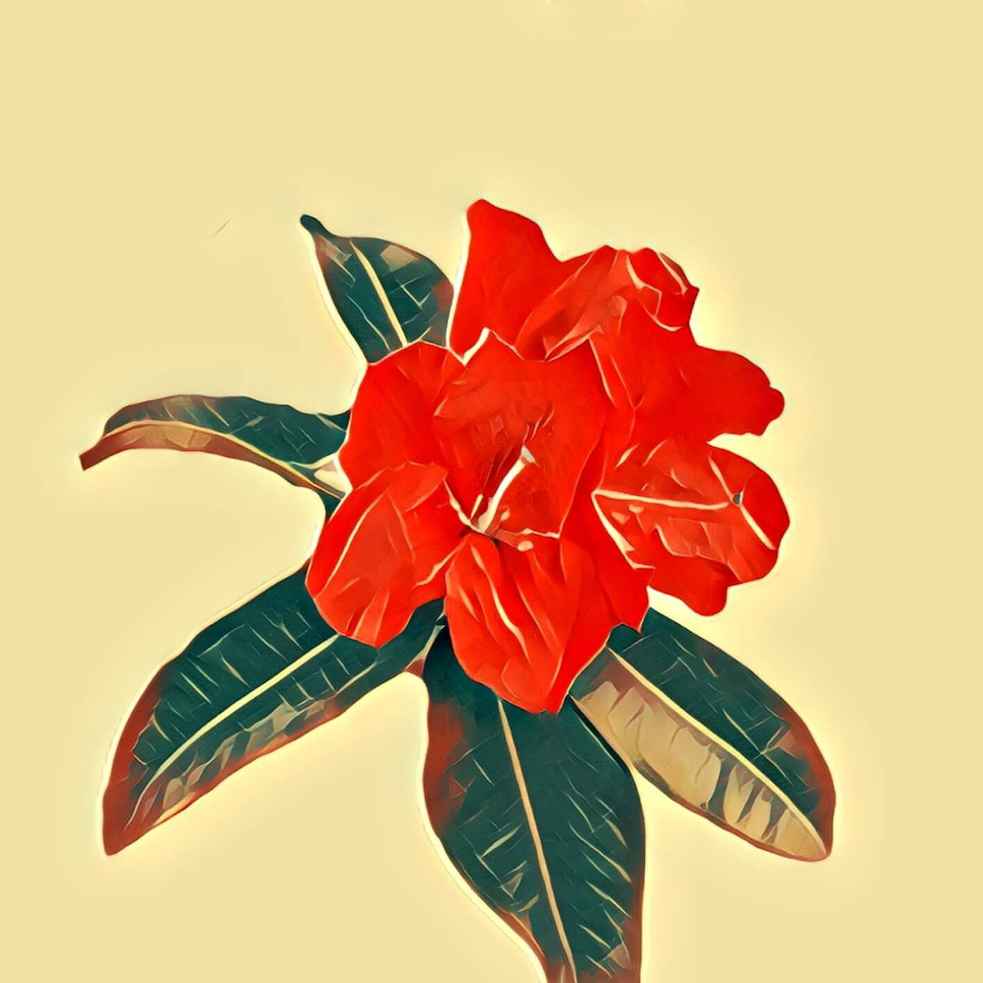 Rhododendron TraumDeutung