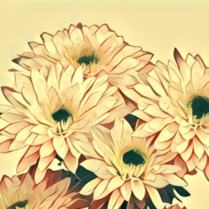 Traumdeutung Chrysanthemen