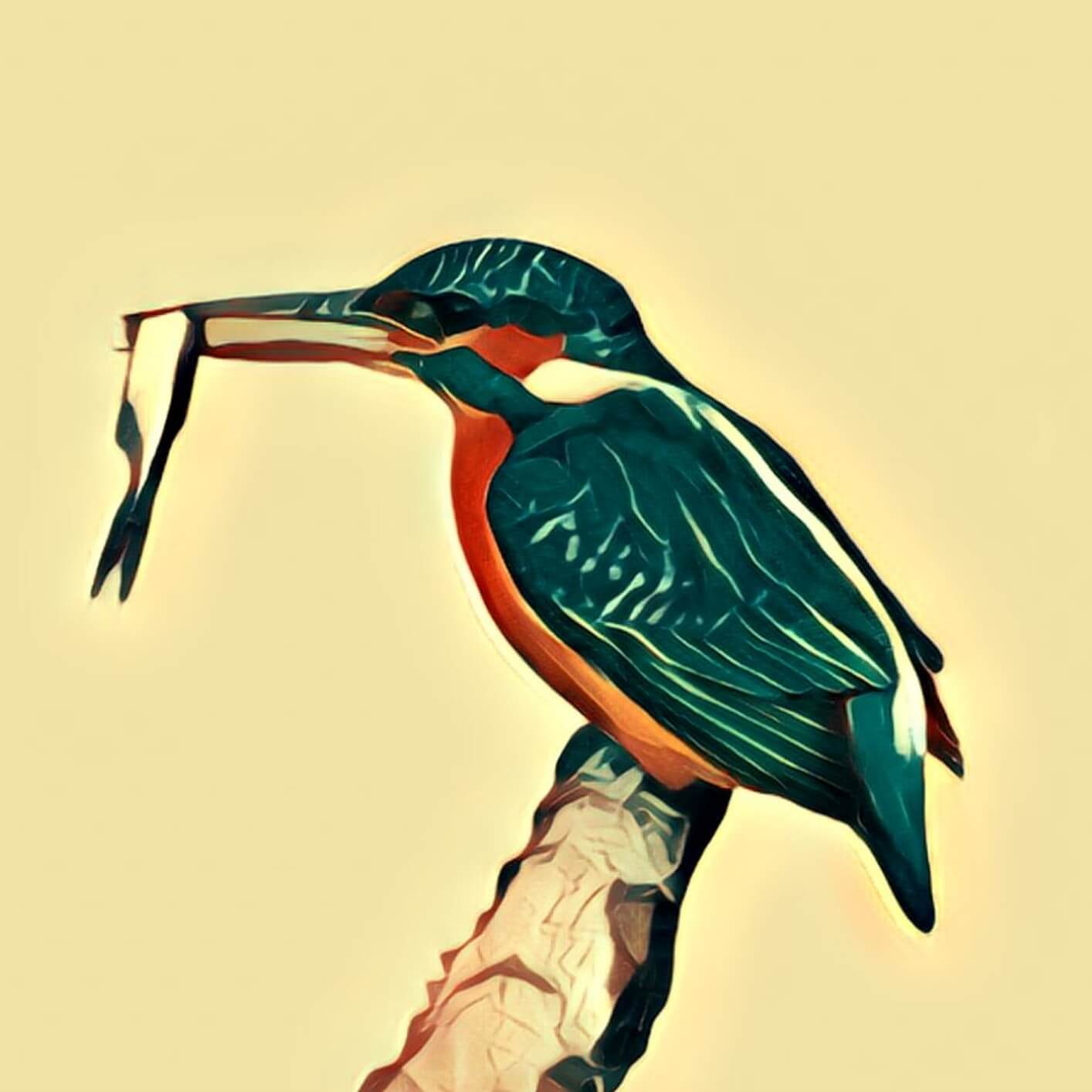 Eisvogel TraumDeutung