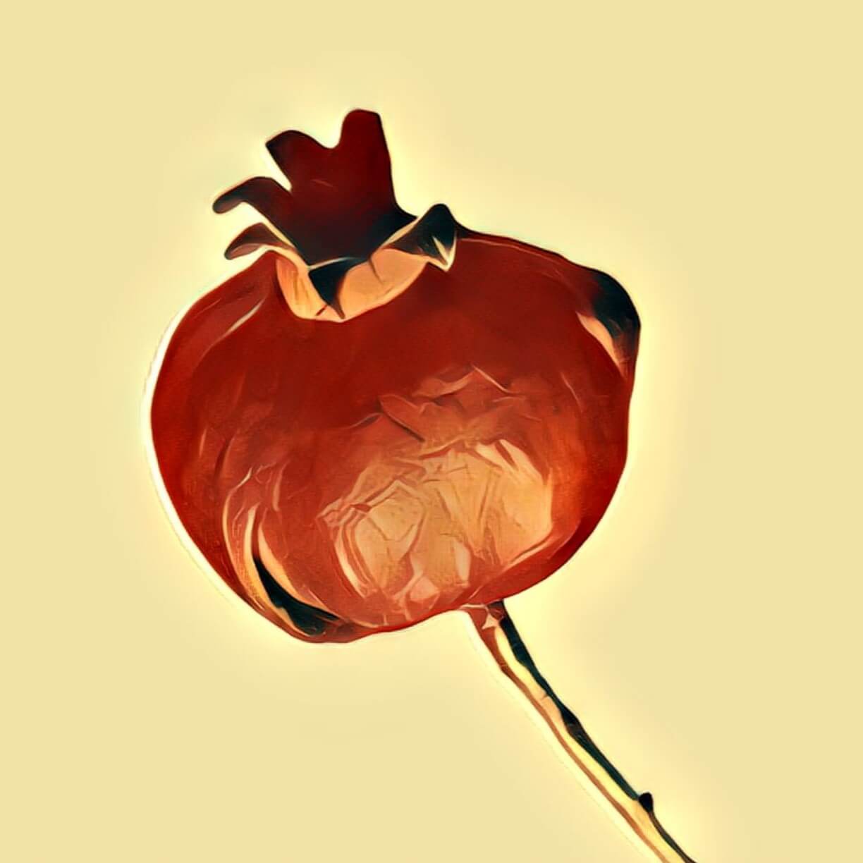 Fäulnis TraumDeutung