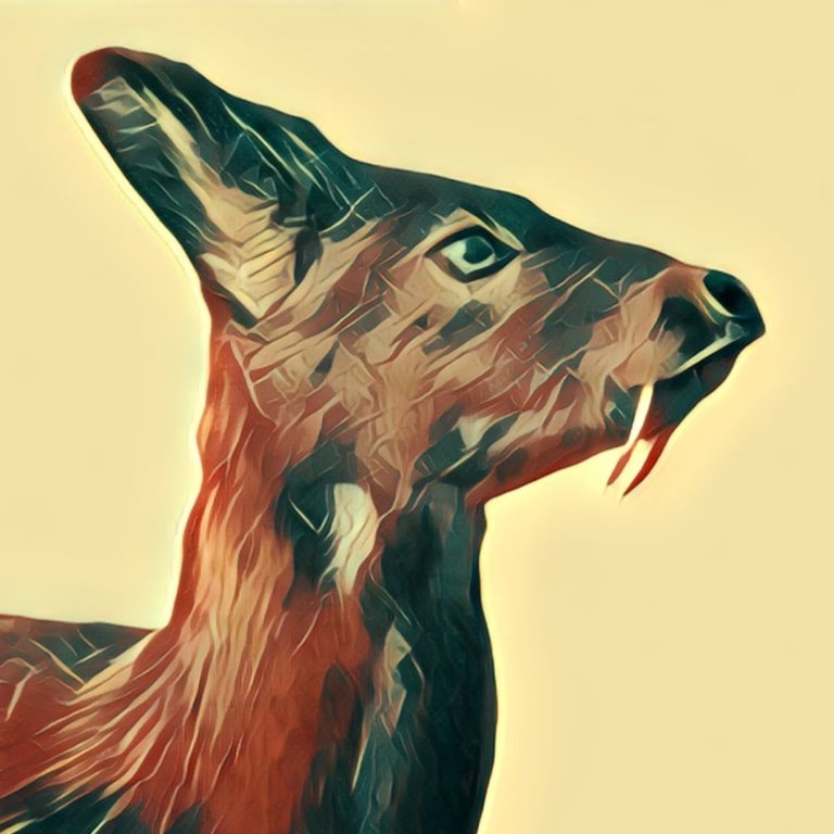 Moschus TraumDeutung