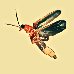Käfer - Traum-Deutung